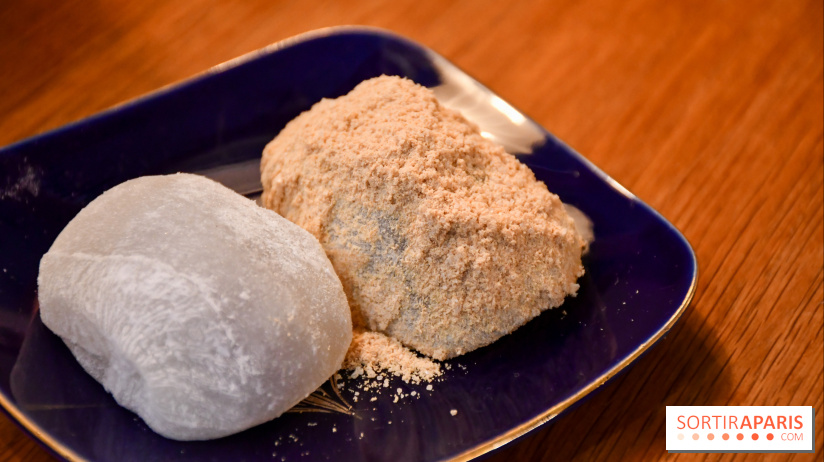 Zakuro, le restaurant authentique pour une cuisine japonaise réconfortante à Paris - DSC 0481