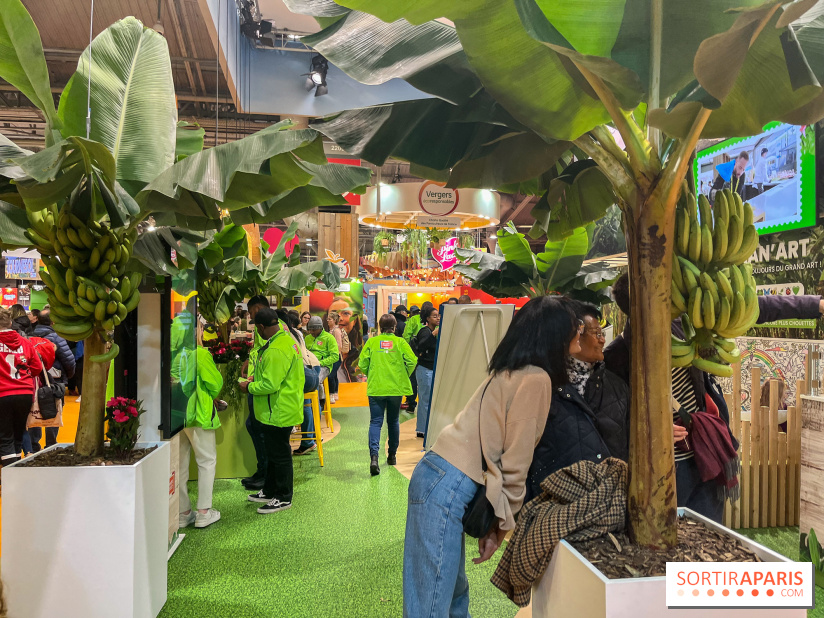 Salon de l'agriculture 2024