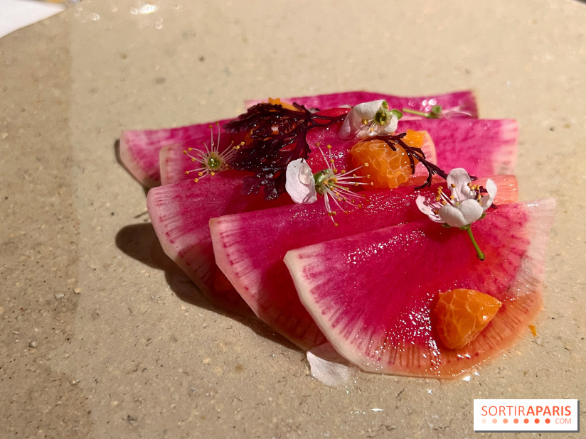 Datil - Radis, Saint-Jacques, ail