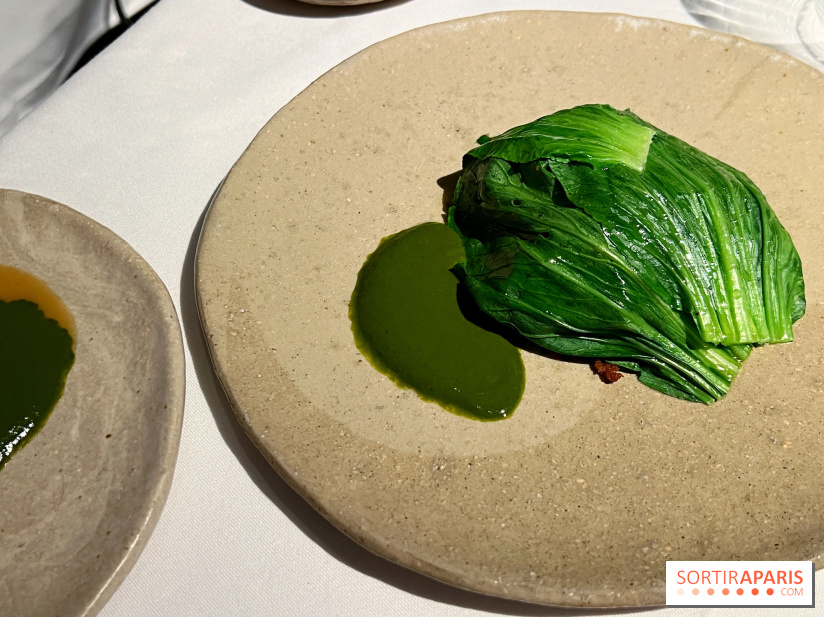 Datil - Autour du pakchoï