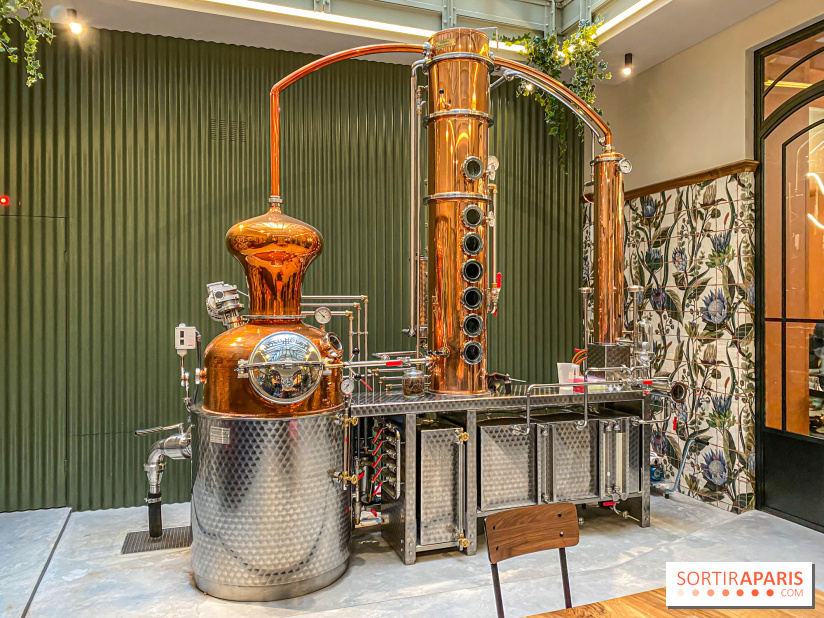 La Distillerie de l’Arbre Sec : l'atelier de création de gin à deux pas du Louvre - IMG 4866