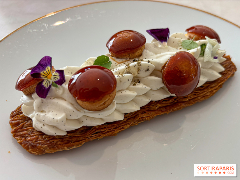 La Buche de Noel et les patisseries du Mandarin Oriental du chef patissier Julien Dugourd 