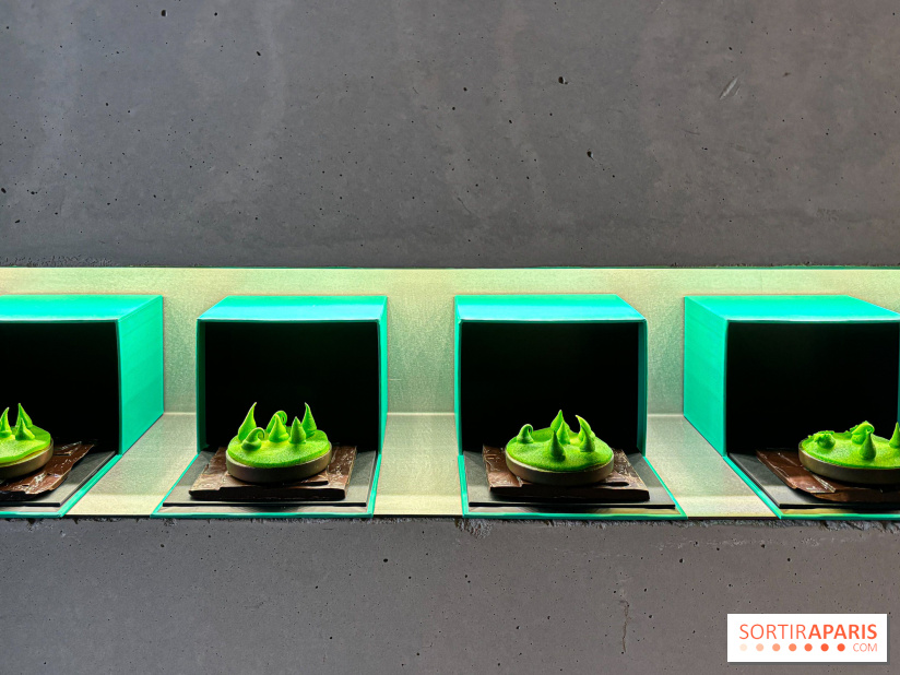 La Buche et les chocolats de Noël 2024 du MOF Patrick Roger