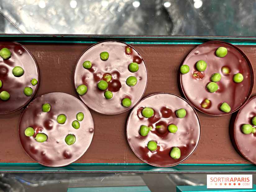 La Buche et les chocolats de Noël 2024 du MOF Patrick Roger