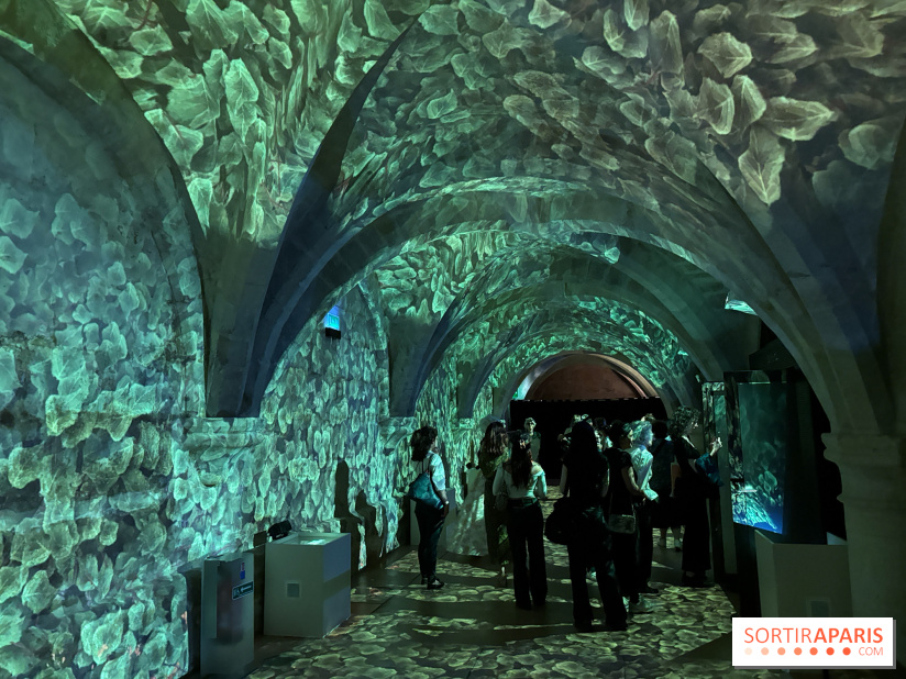 Le Mystère Mozart : un parcours immersif au Collège des Bernardins 