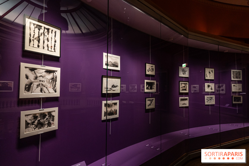 Exposition T'ang Haywen au Musée Guimet à Paris -  A7C8067