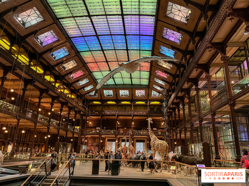 Grande Galerie de l'évolution- visuels 2024