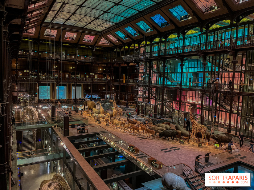 Grande Galerie de l'évolution- visuels 2024