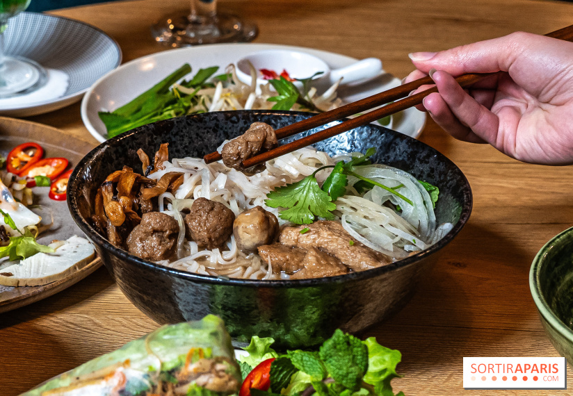 Bêp Việt, le restaurant vietnamien végétarien du 13e, les photos - pho vegan