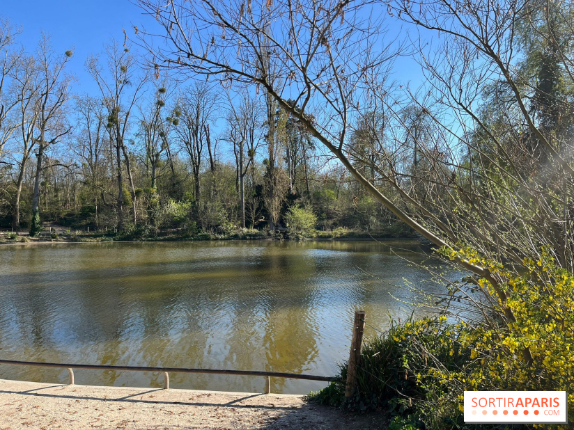 Lac de Saint-Mandé - nos photos - WhatsApp Image 2024 03 22 à 16.12.09 927d444d