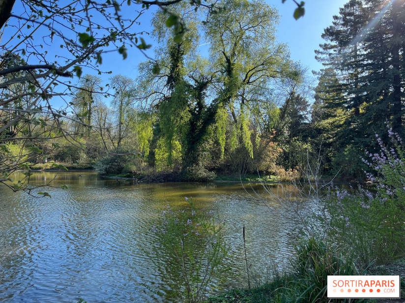 Lac de Saint-Mandé - nos photos - WhatsApp Image 2024 03 22 à 16.12.39 4c5a0a5e