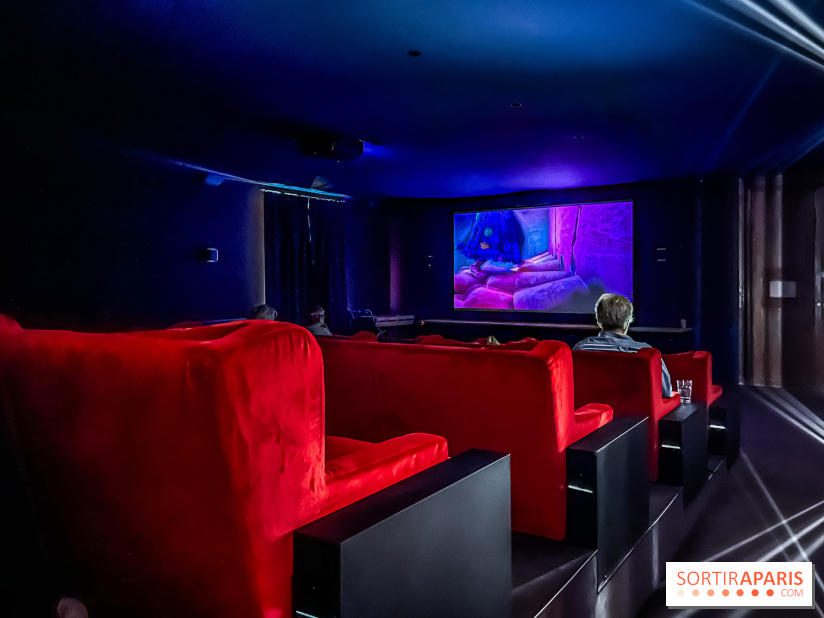 Le brunch exceptionnel du Château de Villiers-le-Mahieu dans les Yvelines avec animations - IMG 7771