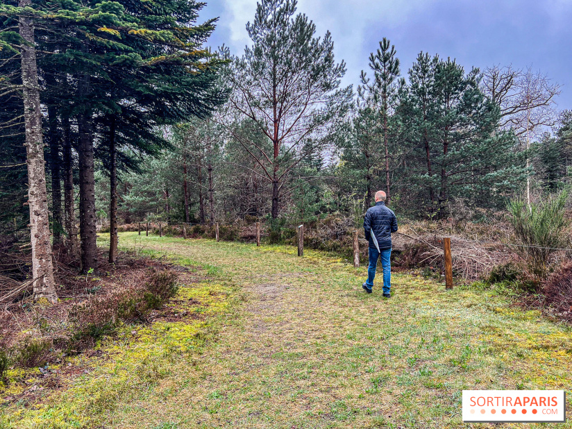 Arbor&Sens, l'Arboretum de Franchard en forêt de Fontainebleau - les photos