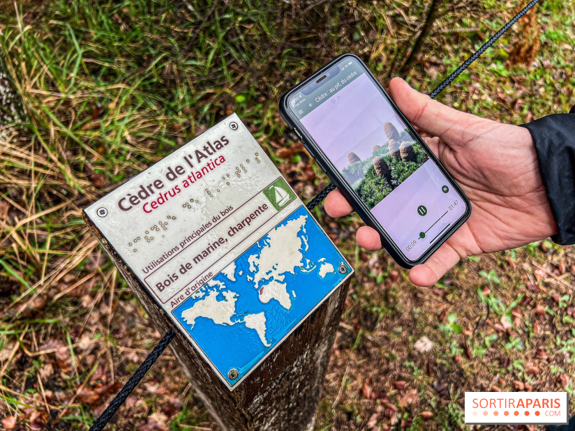 Arbor&Sens, l'Arboretum de Franchard en forêt de Fontainebleau - les photos - IMG 7907