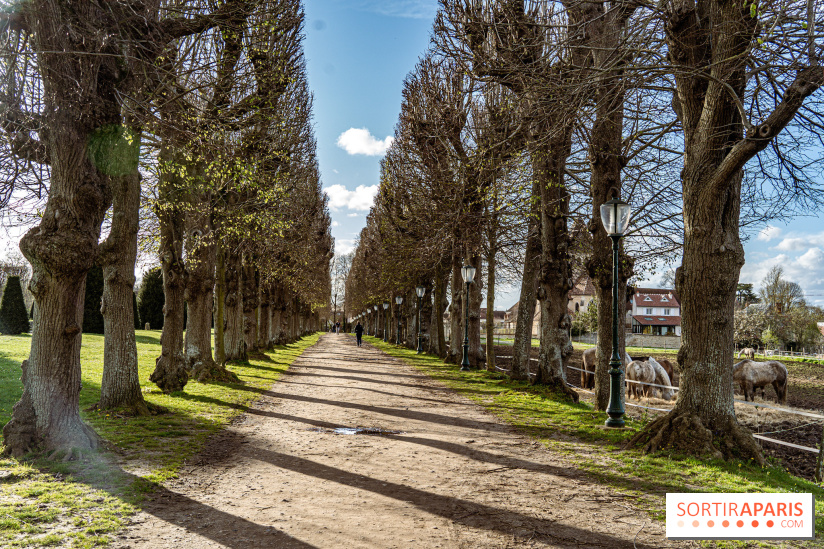 Le Parc du Château de Plaisir (78) - photos