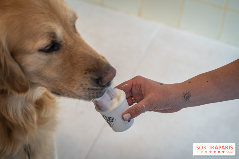 Seven Heaven, le coffee shop dog's friendly et kid's friendly de Paris 11e - River