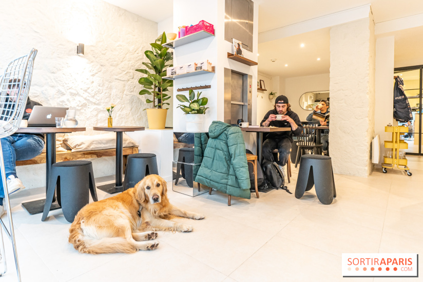 Seven Heaven, le coffee shop dog's friendly et kid's friendly de Paris 11e - A7C0496