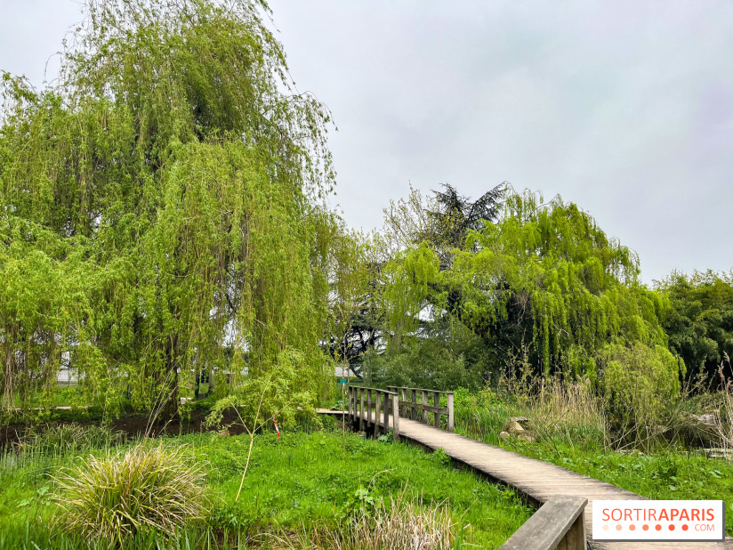 Arboretum de Paris - nos photos - image00040