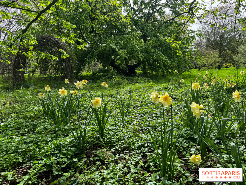 Arboretum de Paris - nos photos - image00029