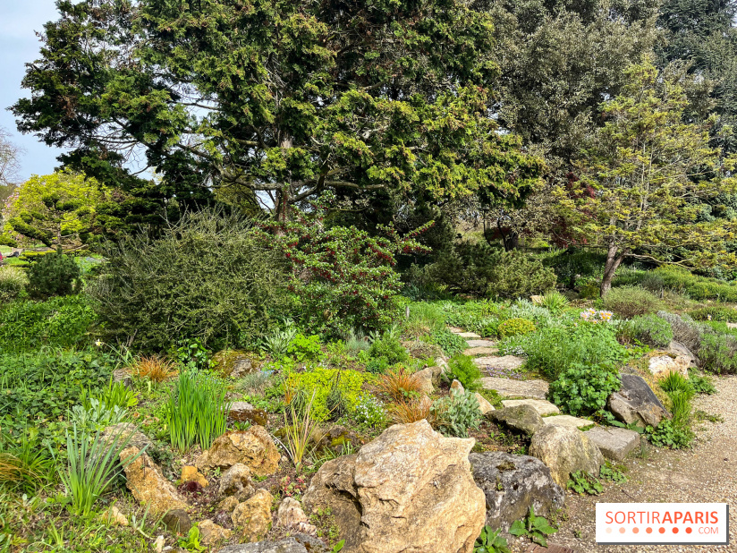 Jardin de l'Ecole du Breuil - nos photos