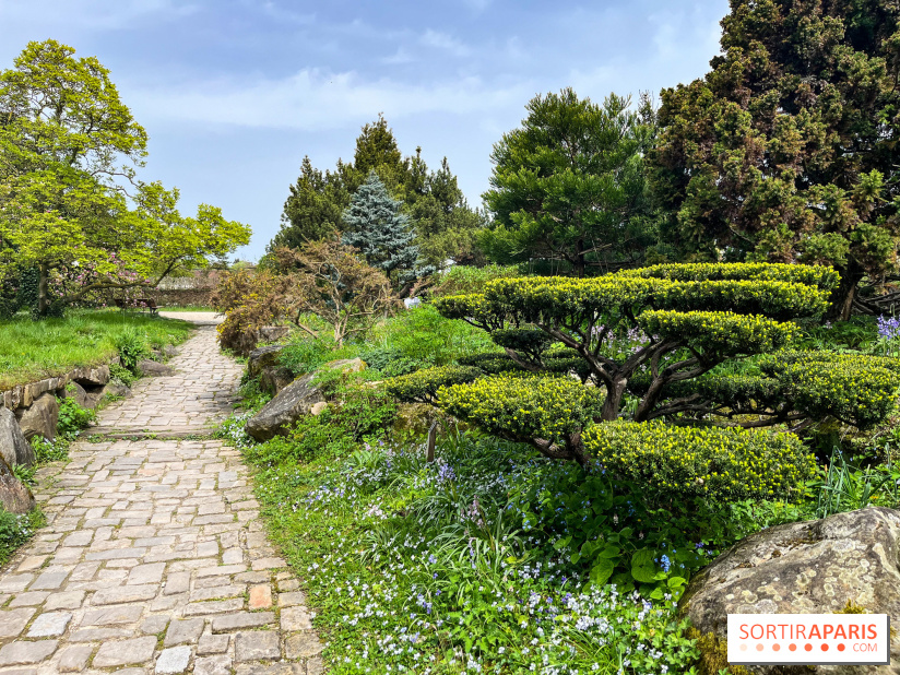 Jardin de l'Ecole du Breuil - nos photos