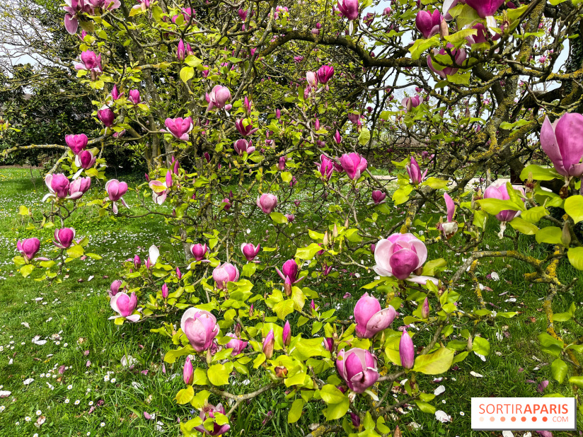 Jardin de l'Ecole du Breuil - nos photos