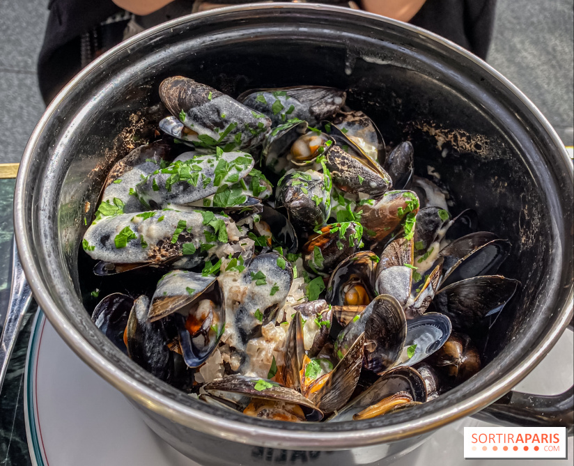 Rosalie Disney Village - IMG 5991 2