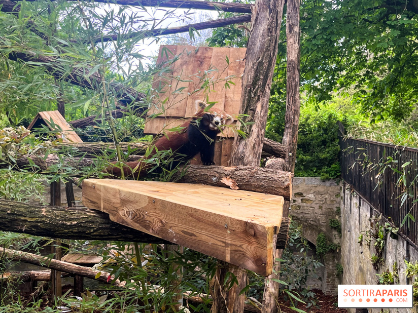 Ménagerie du Jardin des Plantes 2024 - nos photos - image00003