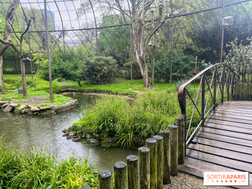 Ménagerie du Jardin des Plantes 2024 - nos photos