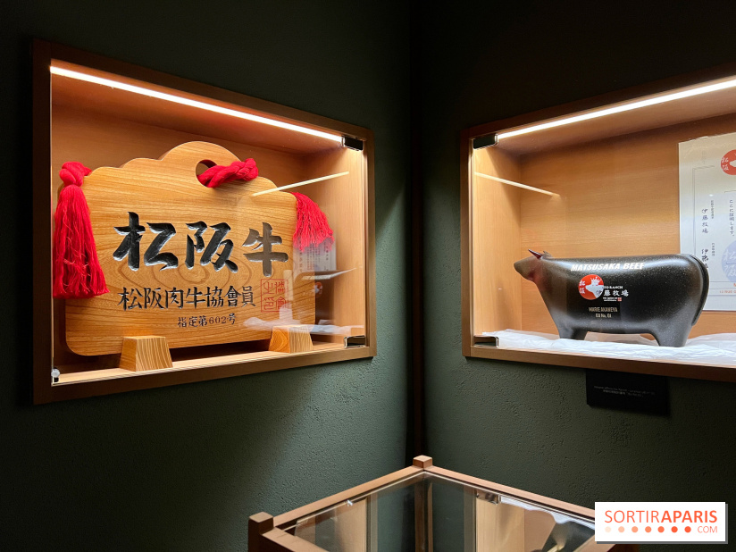 Marie Akaneya - Décoration