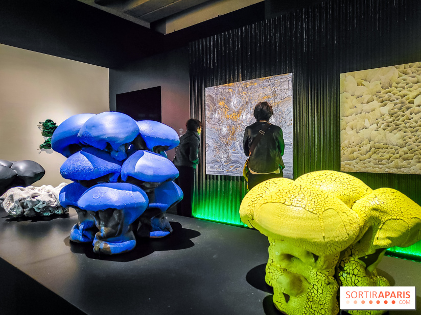 Arabofuturs : l'exposition entre science-fiction et prédictions à l'Institut du Monde Arabe - photos - IMG20240422103119