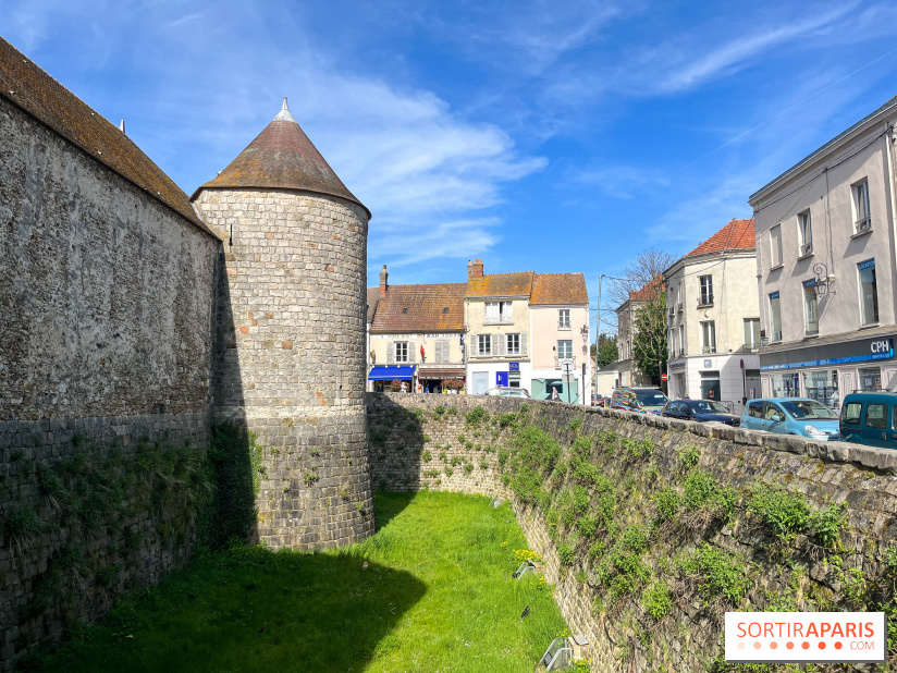 Château de Dourdan - nos photos - image00039