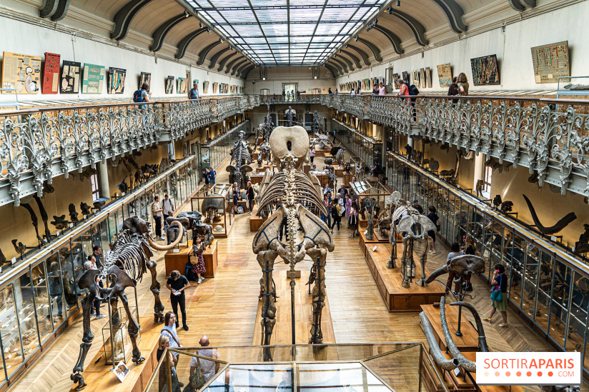 La Galerie de Paléontologie et d'Anatomie comparée du Muséum au Jardin des Plantes