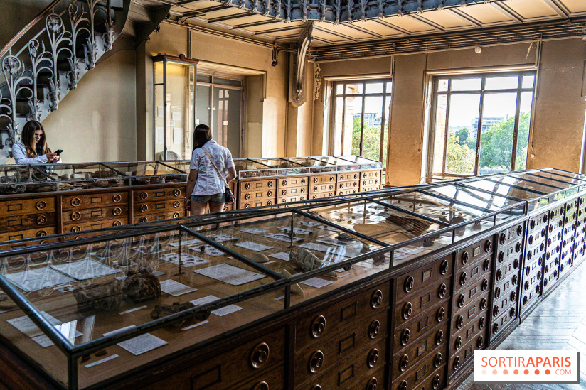 La Galerie de Paléontologie et d'Anatomie comparée du Muséum au Jardin des Plantes
