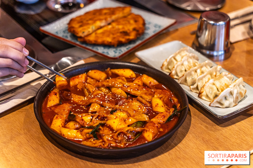 Hwaro Grill, le barbecue Coréen Paris 15e -  tteokbokki