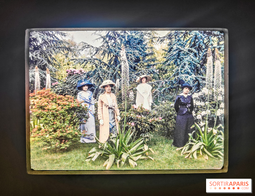 Natures vivantes : l'exposition photo qui met à l'honneur les jardins du musée Albert Kahn - photos - IMG20240429150531