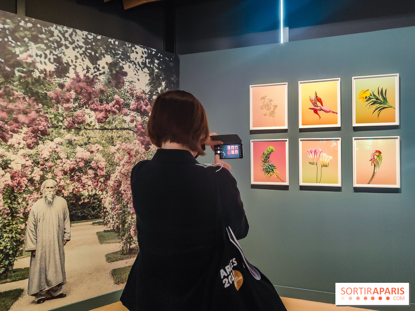 Natures vivantes : l'exposition photo qui met à l'honneur les jardins du musée Albert Kahn - photos - IMG20240429150718