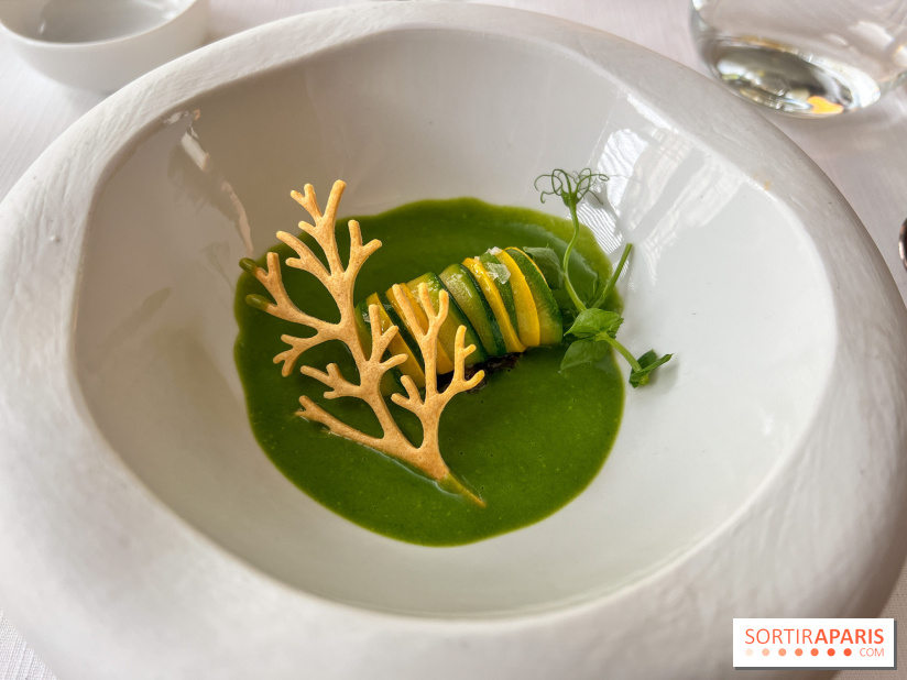 Mavrommatis : Menu Initiation - Mavrommatis