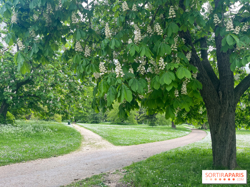 Le parc de Bois-Préau - nos photos