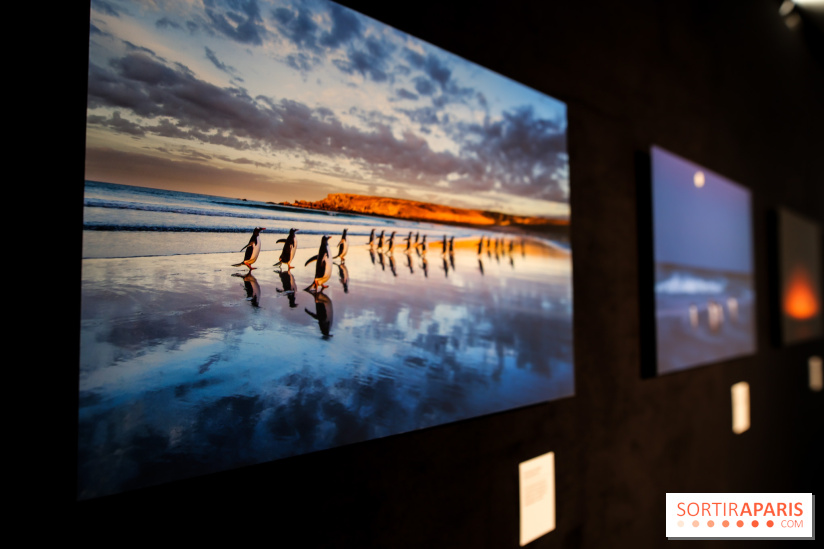 Reflets de la nature, nos photos de l'exposition