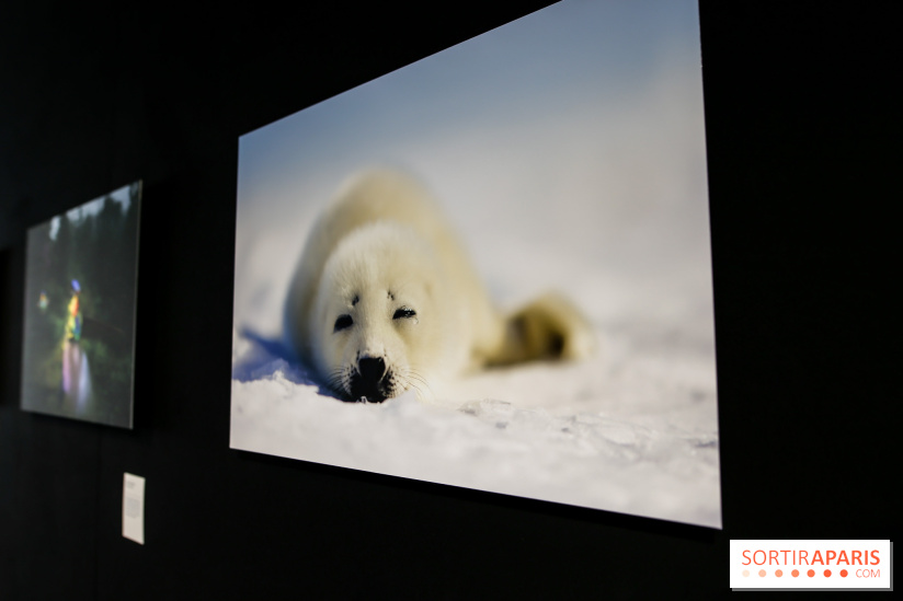 Reflets de la nature, nos photos de l'exposition
