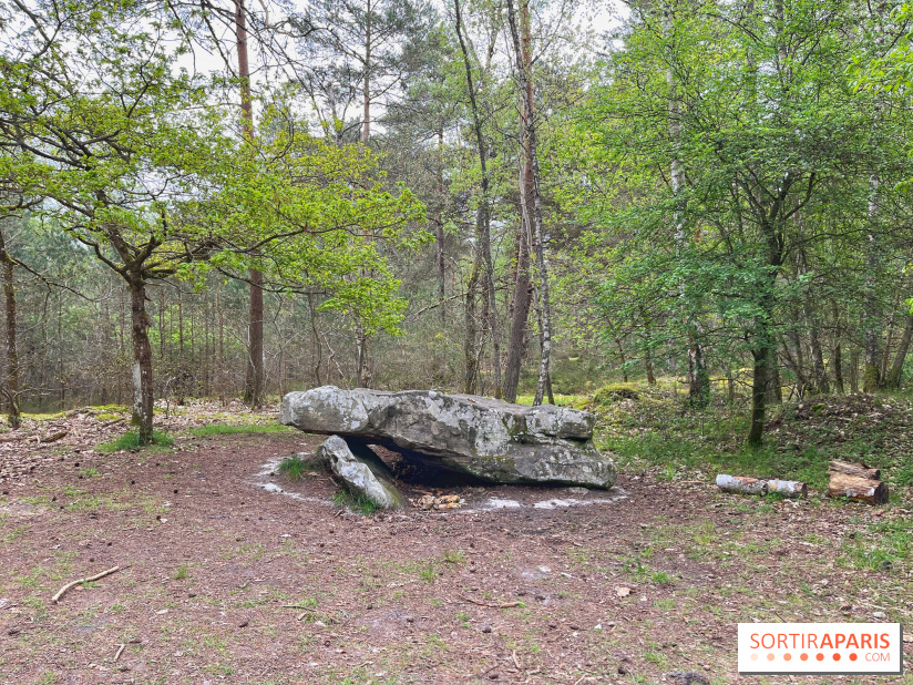 Dolmen de la Pierre Ardoue - IMG 0988