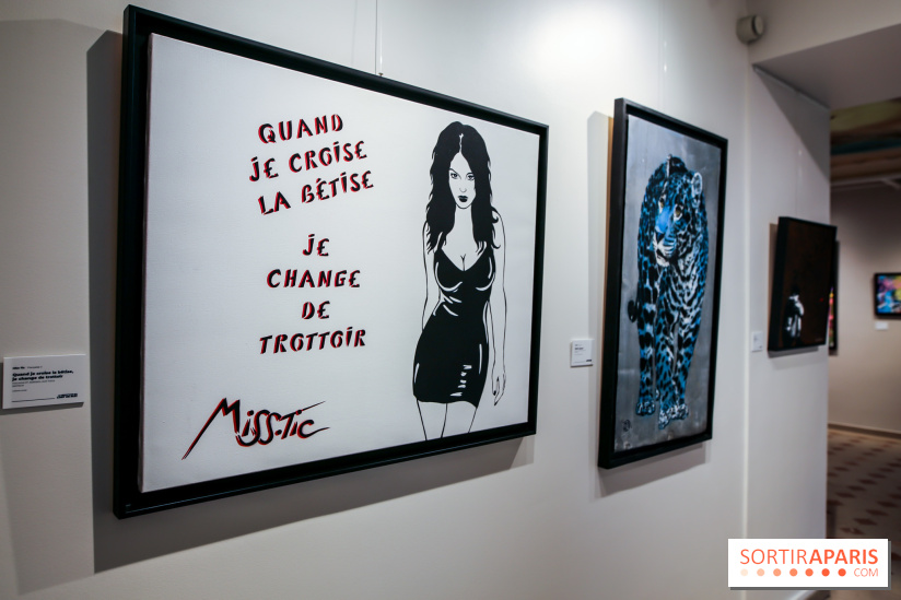 Le Décryptage de l’art de rue, nos photos de l'expo - IMG 4920