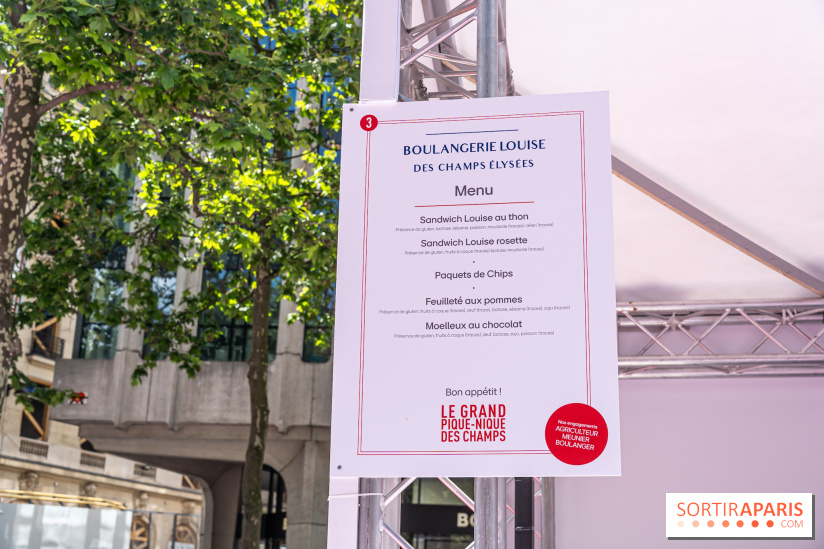 Grand pique nique des Champs-Élysées - photos