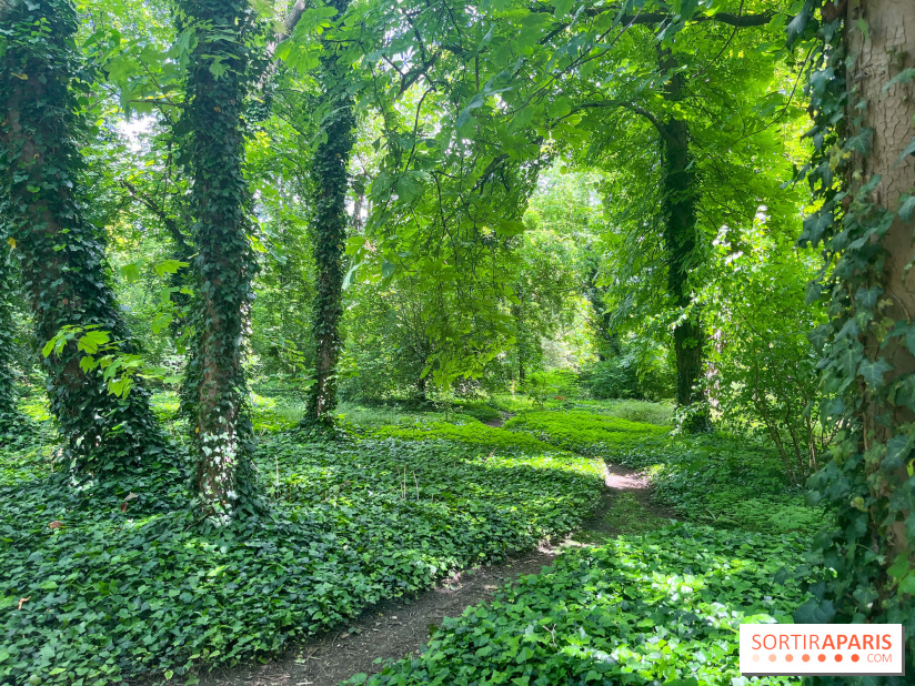 Le parc de la Légion d'honneur de Saint-Denis - nos photos - image00008