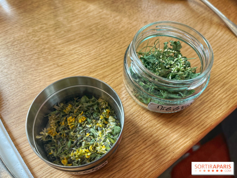 Ateliers herbes et plantes sauvages
