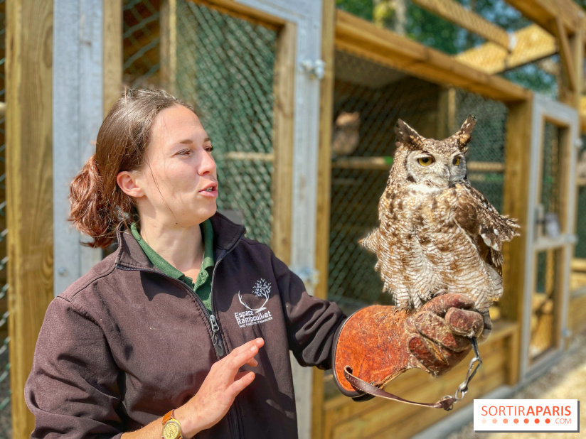 Fauconnier d'un jour - IMG 1415