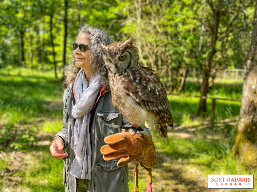 Fauconnier d'un jour - IMG 1420