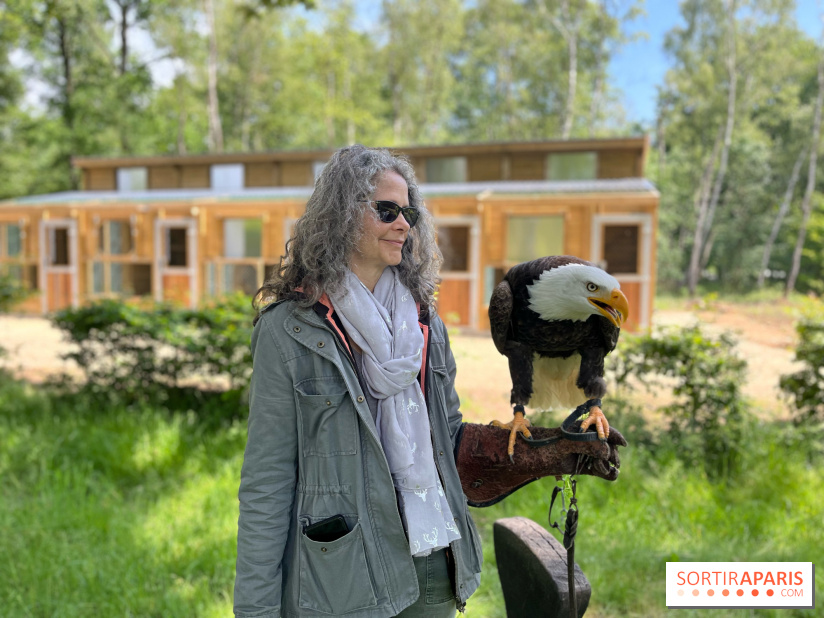 Fauconnier d'un jour - IMG 1445