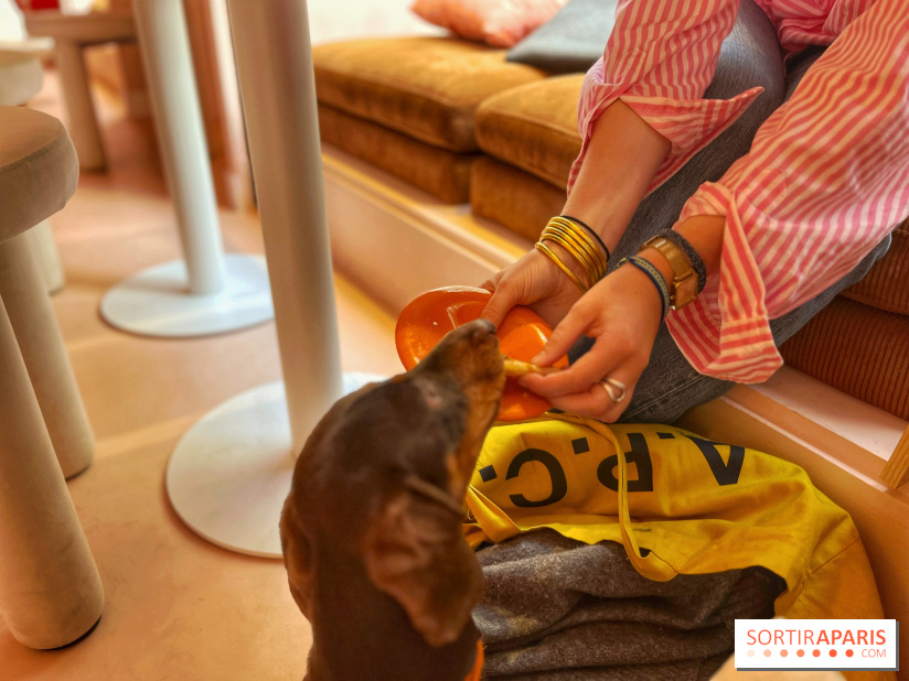 Casa del Doggo - IMG 1619